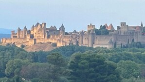 A historic castle with multiple towers and fortifications, surrounded by dense greenery. - Gite for 2, in the countryside, 15 minutes from the medieval town of Carcassonne (Verzeille)