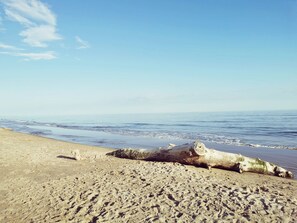 Una playa arenosa con un tronco grande sobre la orilla.