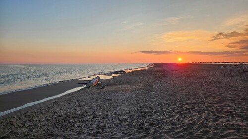 Camargue - La Saline forézienne - Salin de Giraud