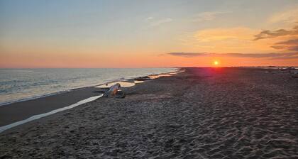 Camargue - La Saline forézienne - Salin de Giraud