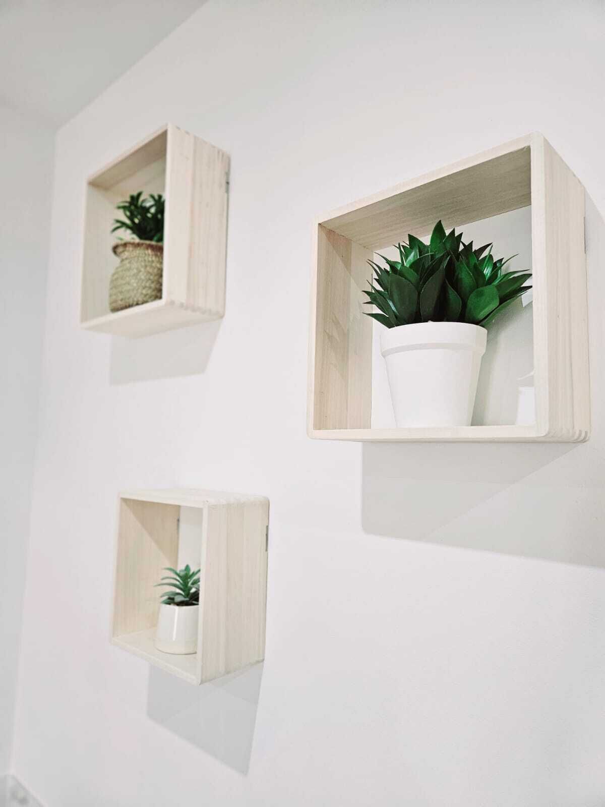Three wooden wall shelves with potted plants.