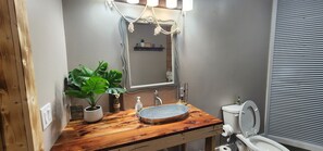 A bathroom with a wooden vanity, a mirror, a sink with a basin, a toilet, and a potted plant. - Bin there Done that! (Platte)