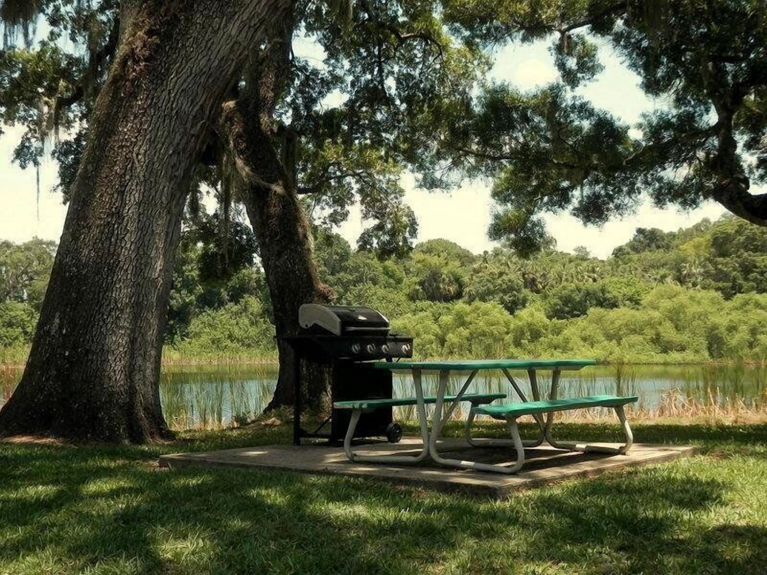 A picnic table with a grill under a large tree by a lake.