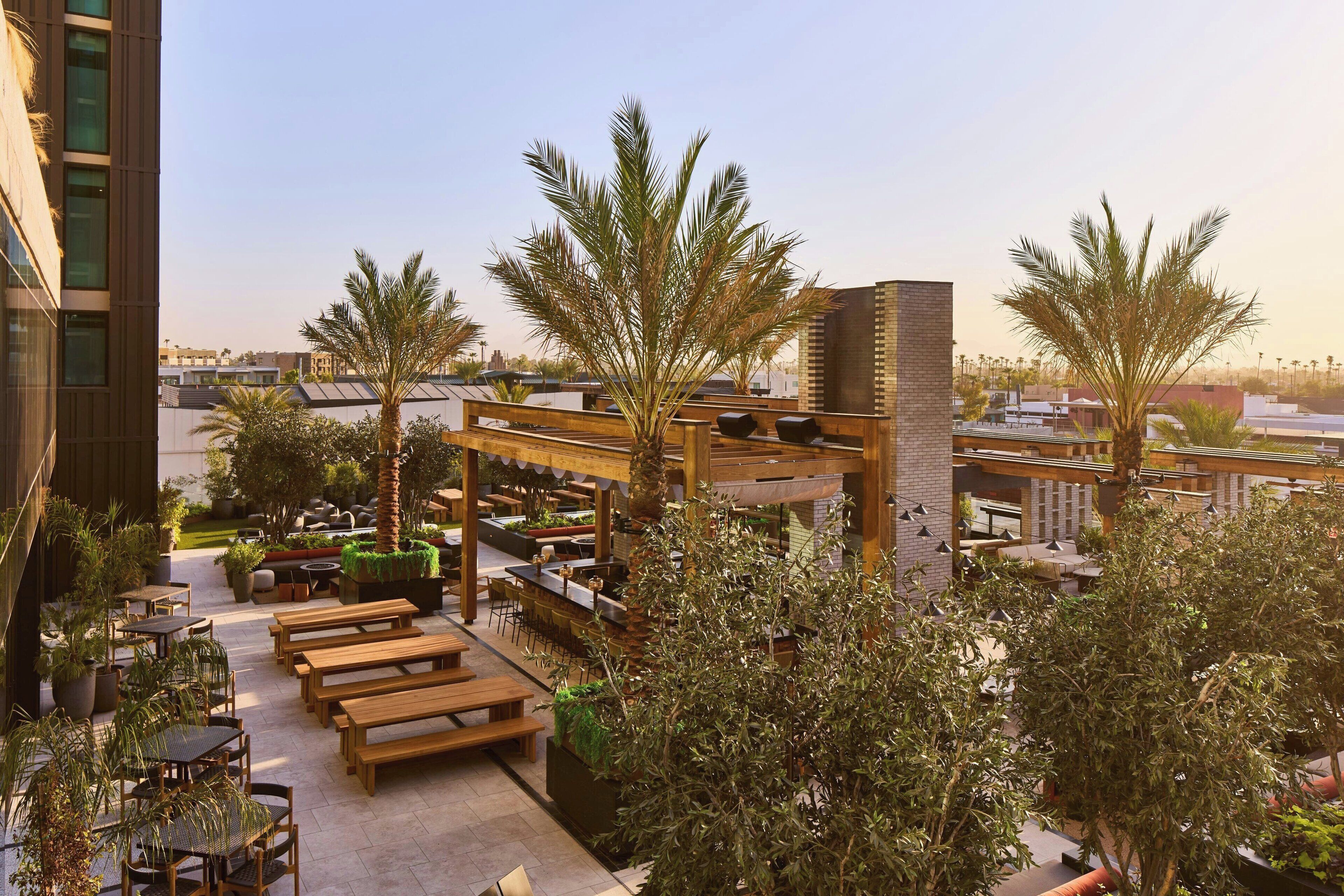 A rooftop bar with wooden tables and benches, surrounded by palm trees and potted plants.