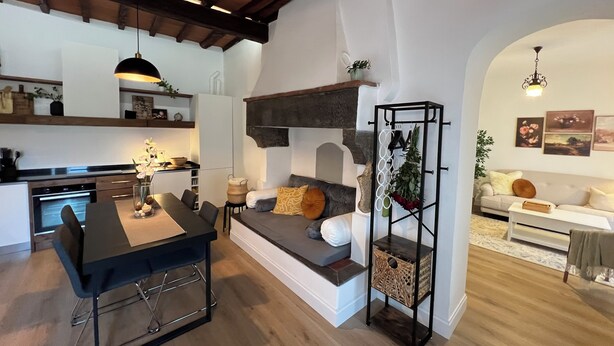 Et moderne køkken med spiseplads, opholdsområde med sofa og hynder samt en dekorativ plantestativ.