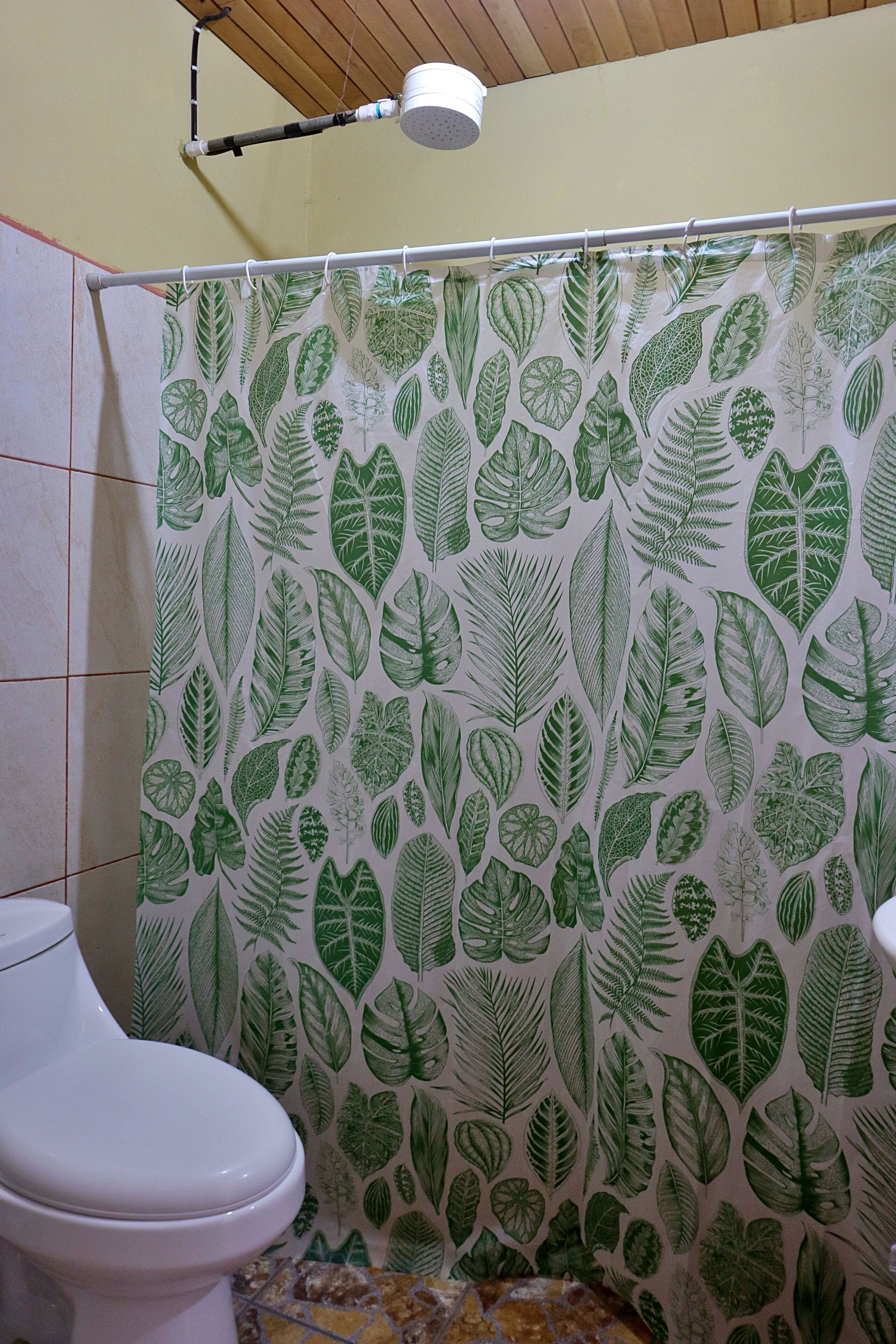 Shower, towels, soap, toilet paper