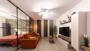 A modern living room with a sofa, TV, and a glass partition.
