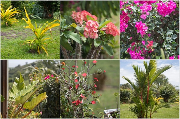 Miscellaneous
