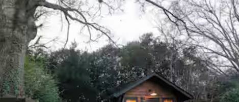 A rustic cabin with a stone pathway leading to the entrance, surrounded by trees and a wooden fence.