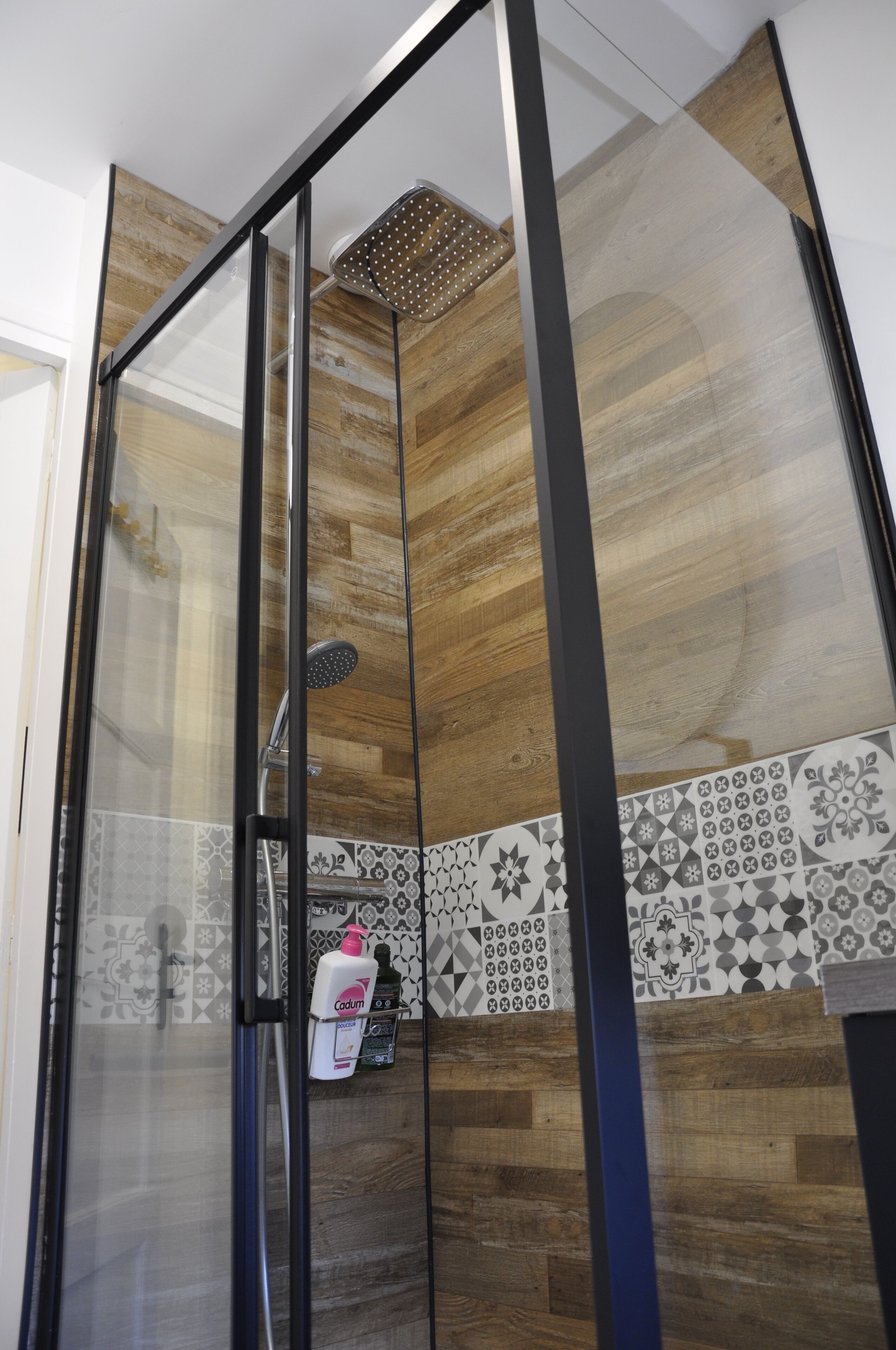 Shower, hair dryer, towels, shampoo