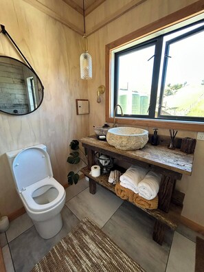 Shower, towels, soap, toilet paper