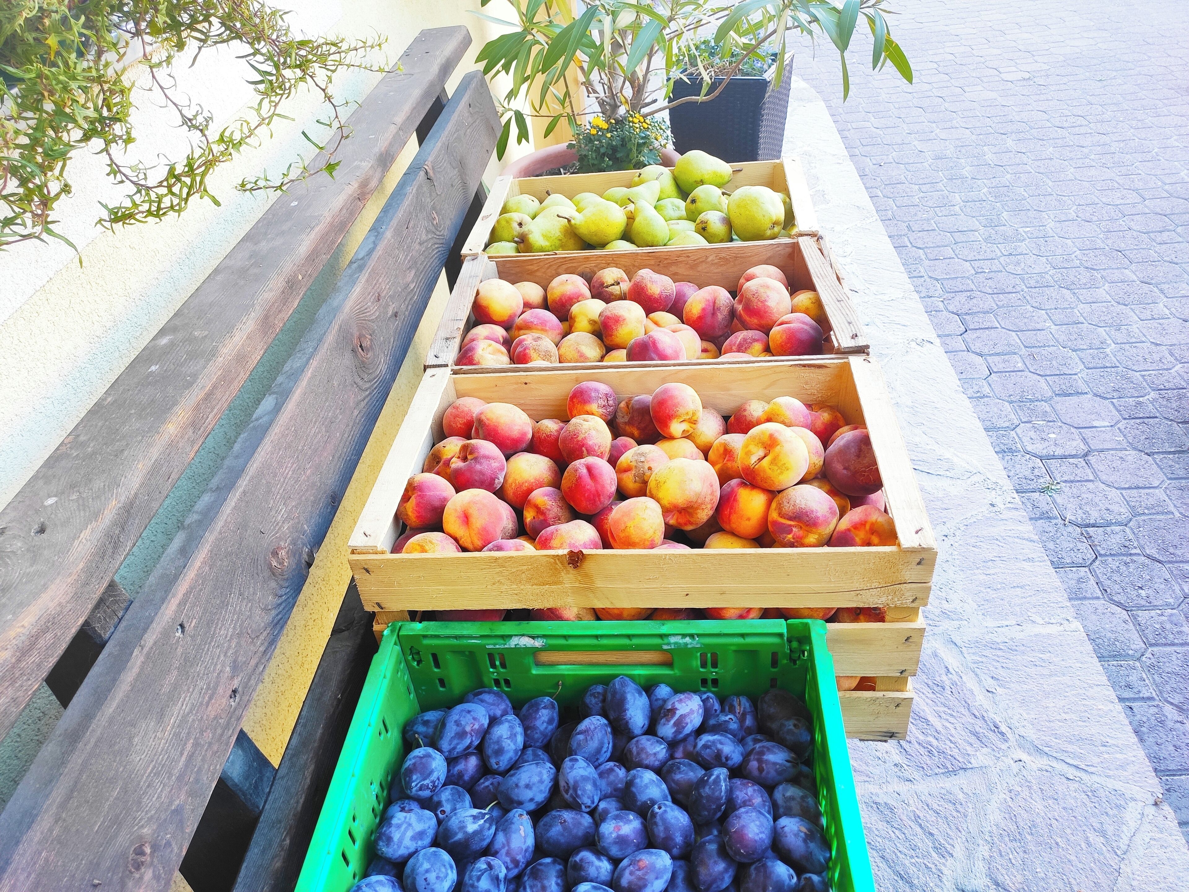 A wooden bench with crates of fruits including peaches, pears, and plums.