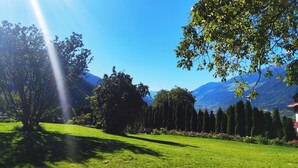 A lush green landscape with a clear blue sky, a sunlit tree, and distant mountains. - Cozy apartment farm, with small animals beautiful and quiet location! (Latsch)