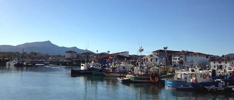 Marina