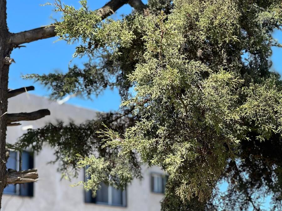 Voorkant van accommodatie