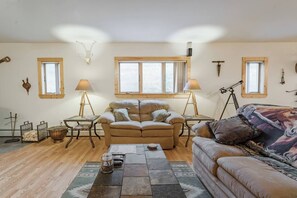 Televisor, llar de foc i reproductor de DVD