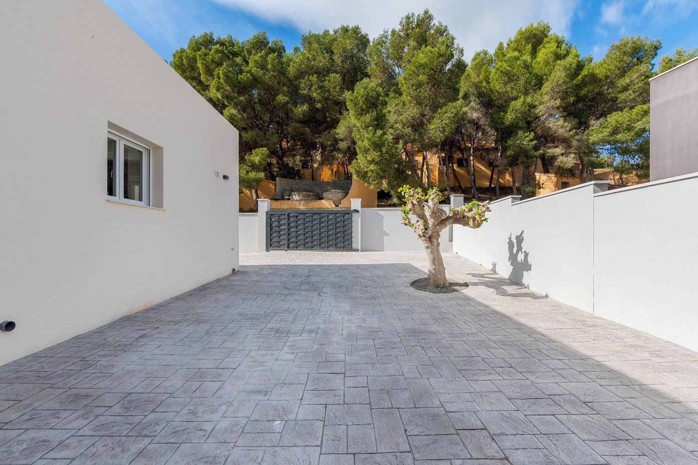 A courtyard with a paved floor, a tree, and a gate.