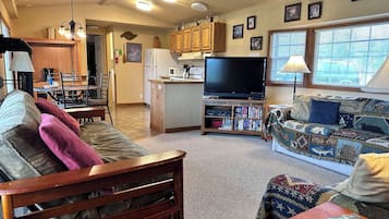 TV, fireplace, DVD player, books