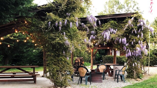 Een terras buiten met een houten pergola, lichtjes en bloeiende paarse wijnranken.