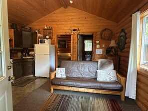 TV, fireplace, DVD player