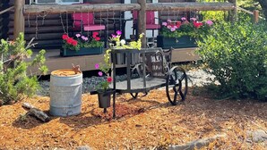 A rustic log cabin with a porch, wooden benches, and potted plants.
