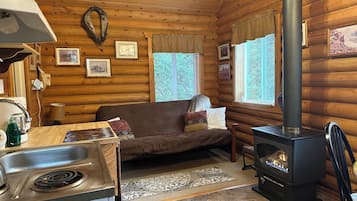 TV, fireplace, DVD player