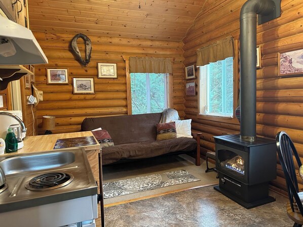 TV, peis og DVD-spiller