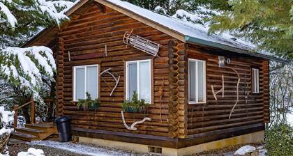 Welcome to your year-round mountain getaway and historic ranch in the foothills of the North Cascades!