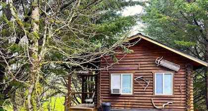 Welcome to your year-round mountain getaway and historic ranch in the foothills of the North Cascades!