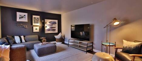 TV, fireplace, books