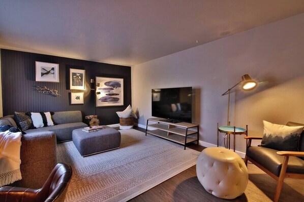 TV, fireplace, books