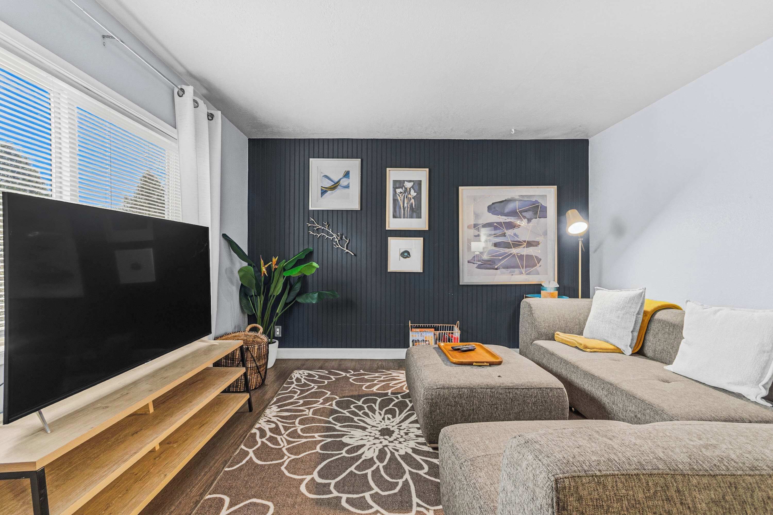 TV, fireplace, books