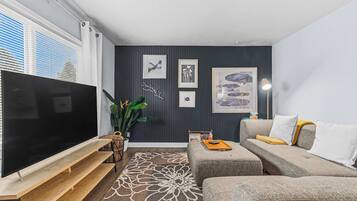 TV, fireplace, books