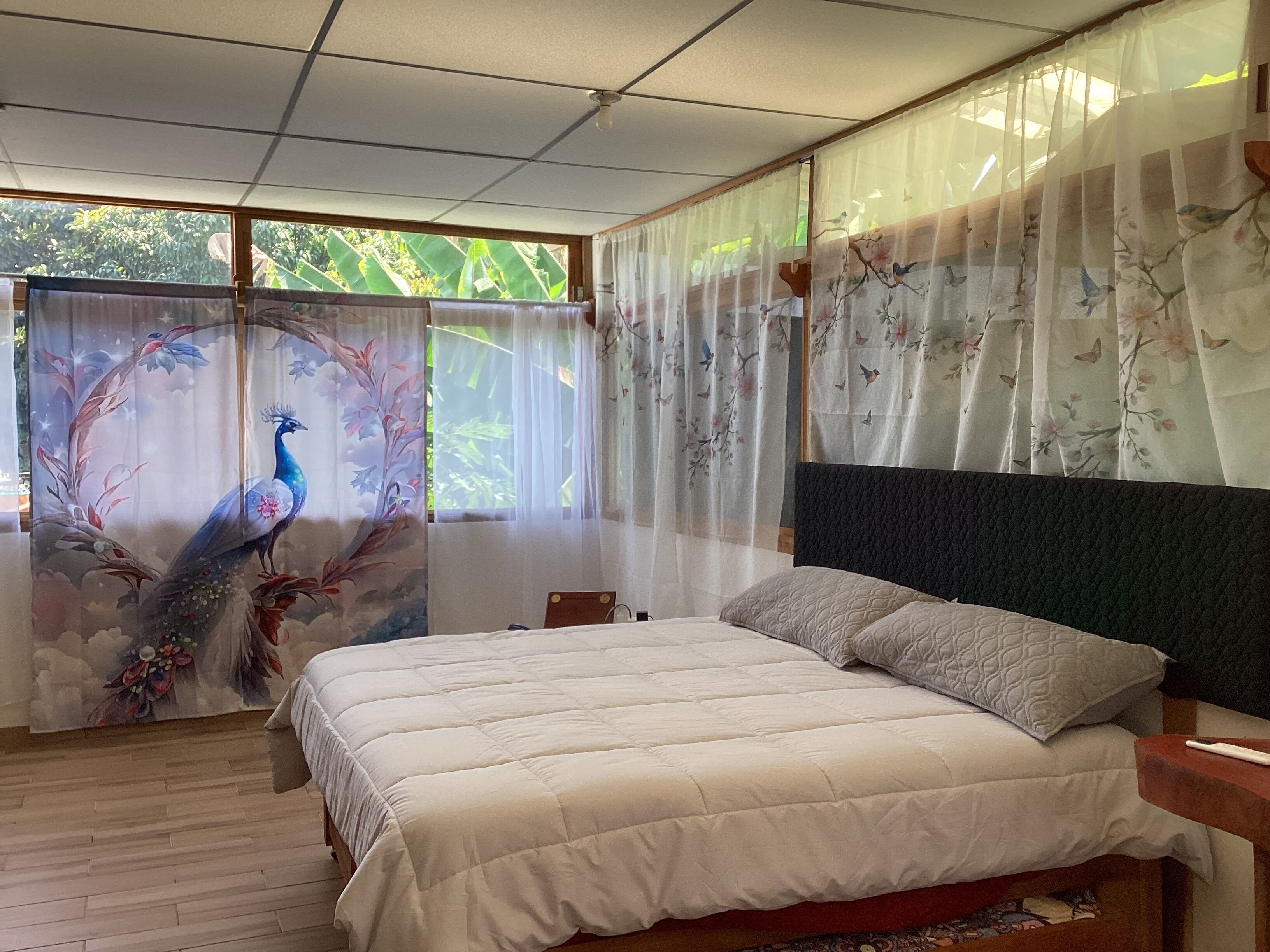 4 camere, una cassaforte in camera, una scrivania, ferro/asse da stiro