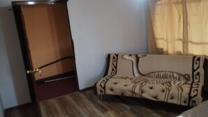 Habitació amb sòl de fusta, un sofà amb funda estampada, una làmpada al sostre i una porta.