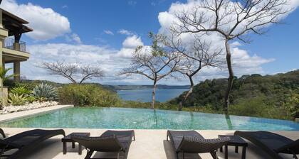 Just Renovated—Luxe Amenities, Free Beach Club Passes, The BEST Monkey Views!