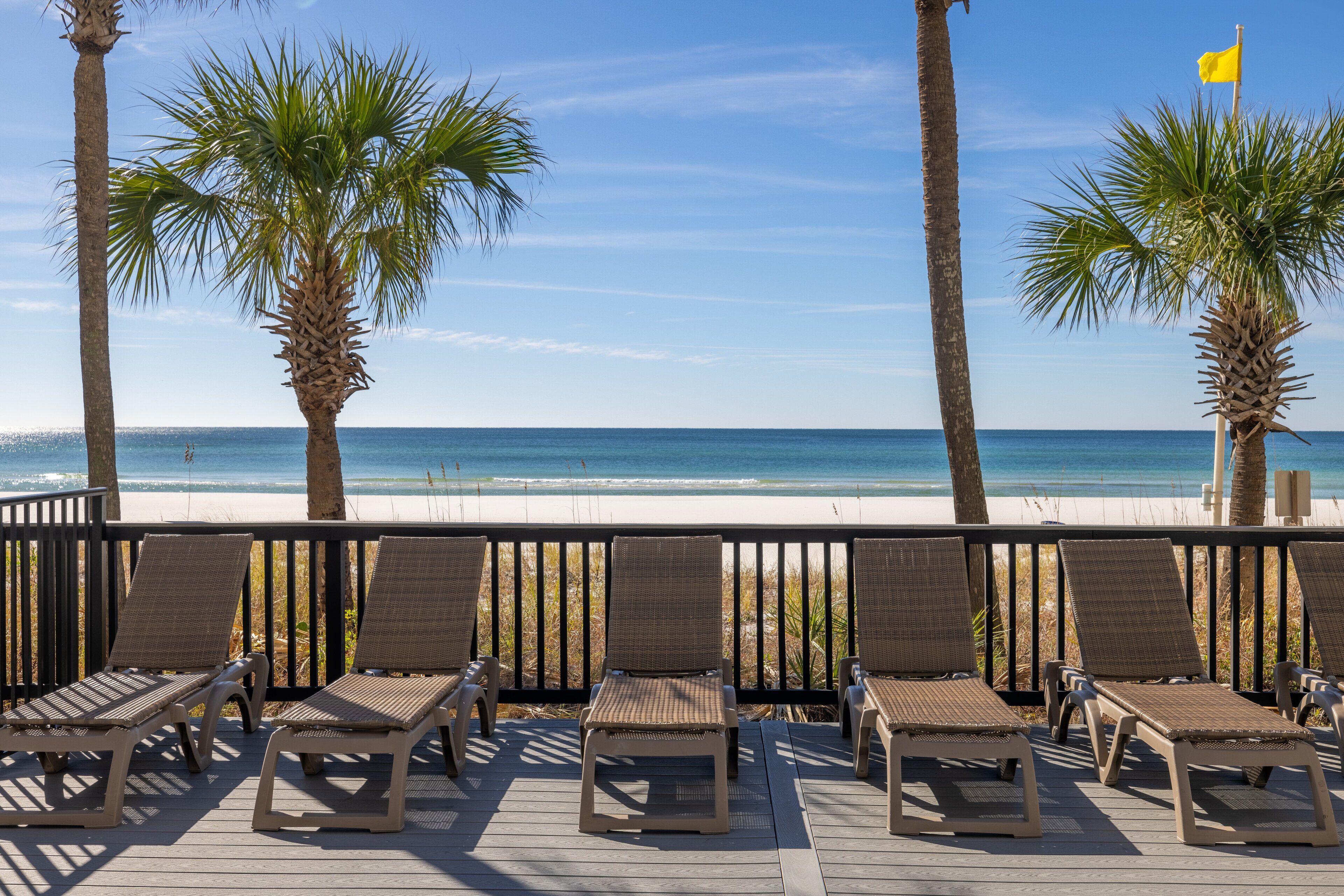A beachside deck with lounge chairs and palm trees, overlooking the ocean.