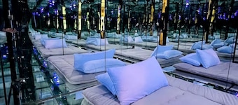The OMG House that will BLOW YOUR MIND with Unbelievable Cats n Mirrors