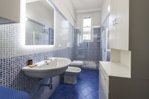 Shower, hair dryer, bidet, towels