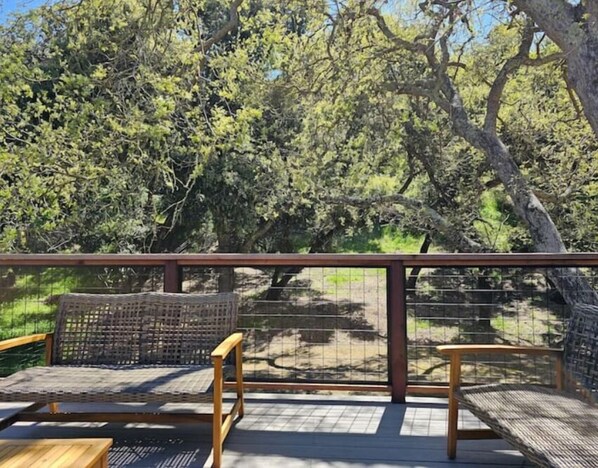 Property grounds - Quiet 3-bedroom house in Atascadero 'Wine Country' with WiFi, AC, Jacuzzi (Atascadero)