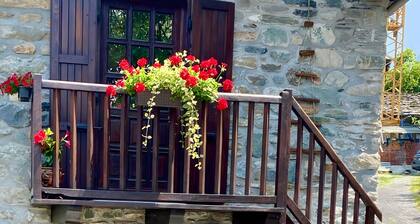 Room 'Tillier' with Mountain View, Balcony and Wi-Fi