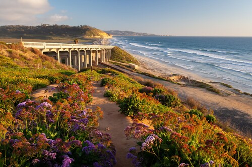 Walk to the beach! Views of Del Mar Racetrack & Ocean - Turf & Tide