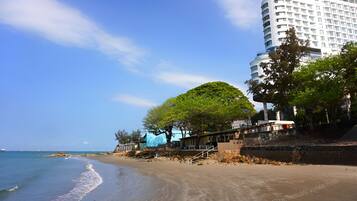 A beachfront hotel with a view of the ocean, a sandy beach, and a large tree.