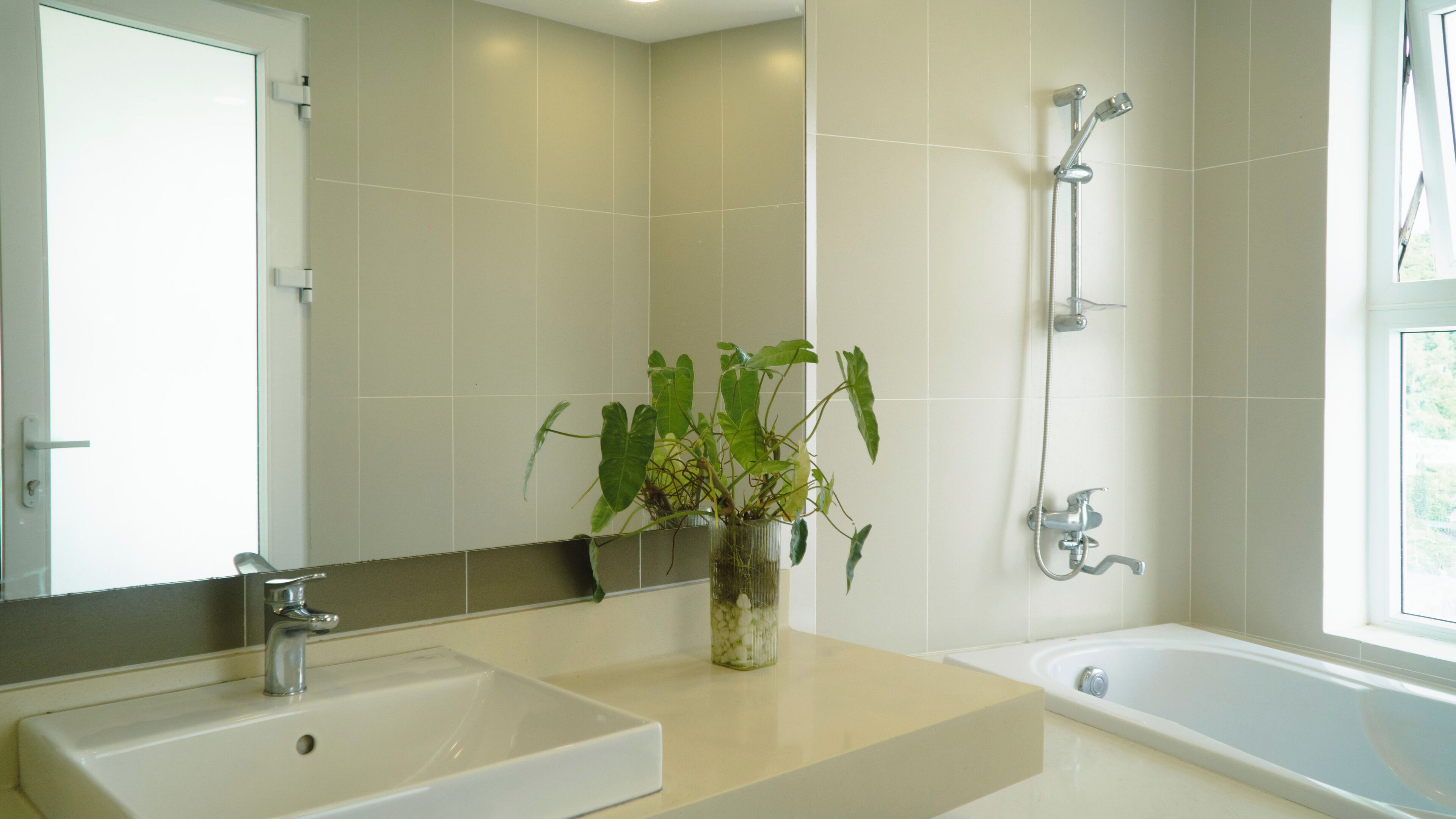 A modern bathroom with a large mirror, a sink, a shower, and a potted plant.