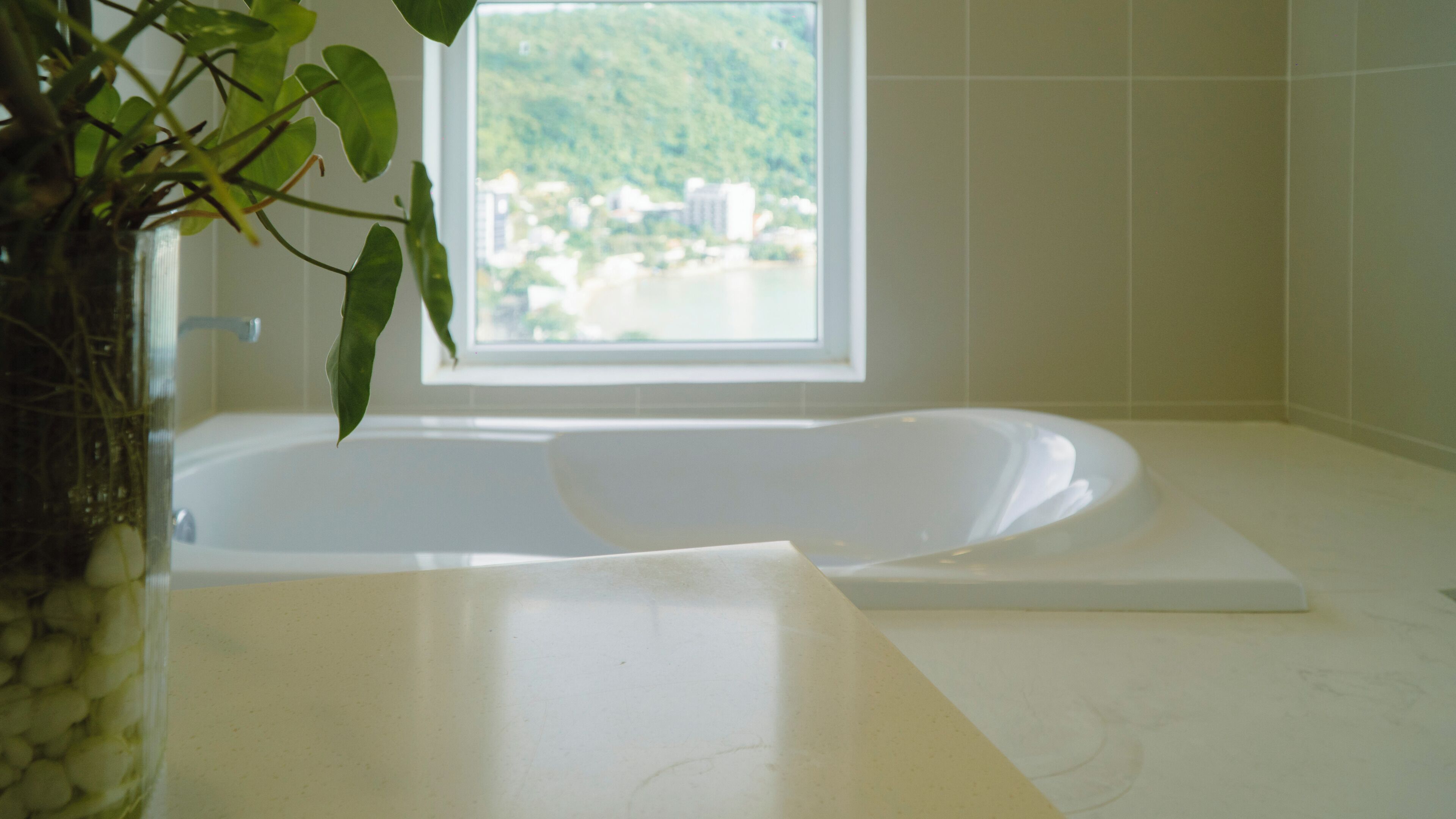 Ein Badezimmer mit einer Badewanne, einem Fenster mit Blick auf eine grüne Landschaft und einer Pflanze links.