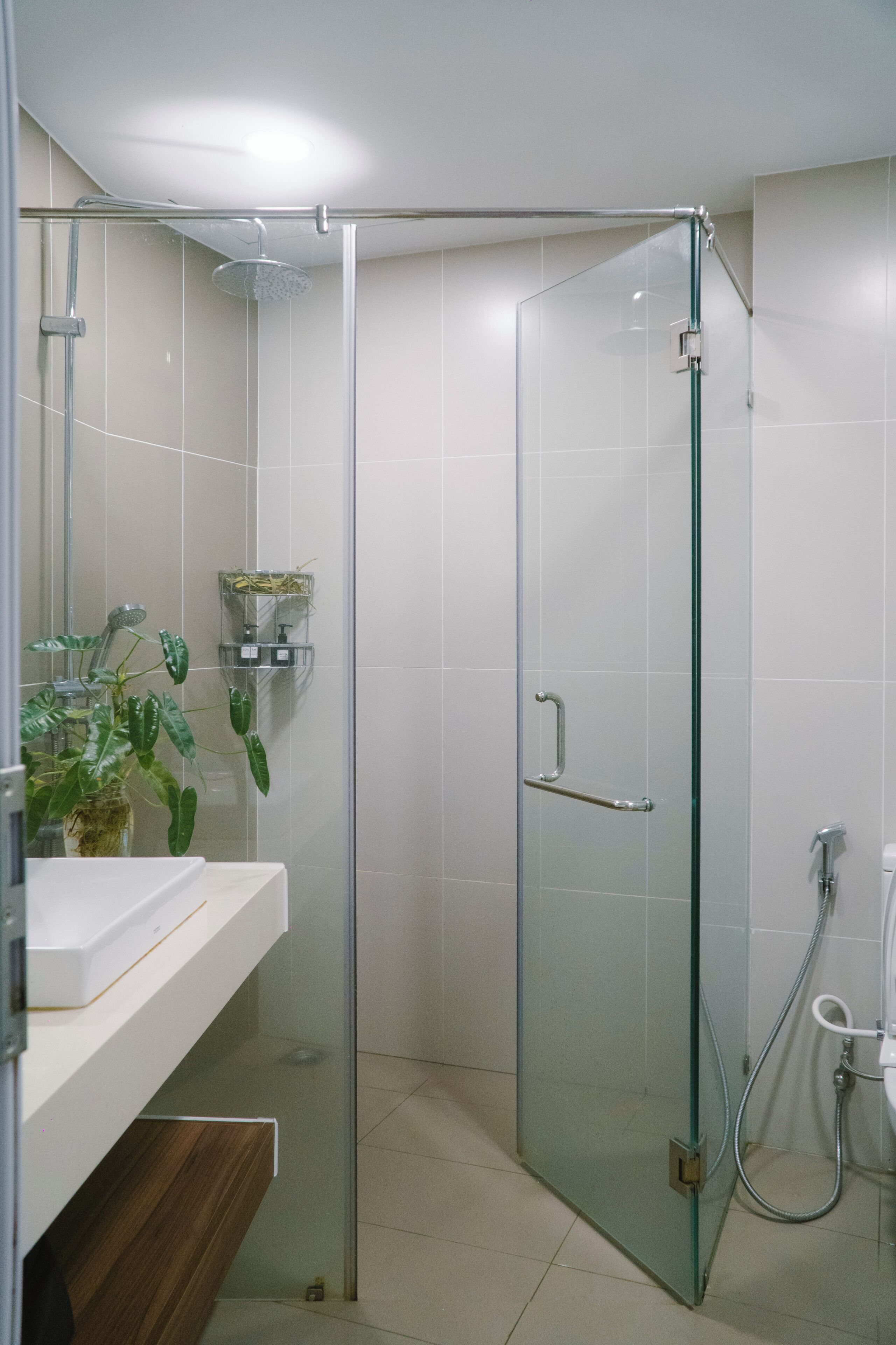A modern bathroom with a glass shower enclosure, a white sink, and a plant on the countertop.