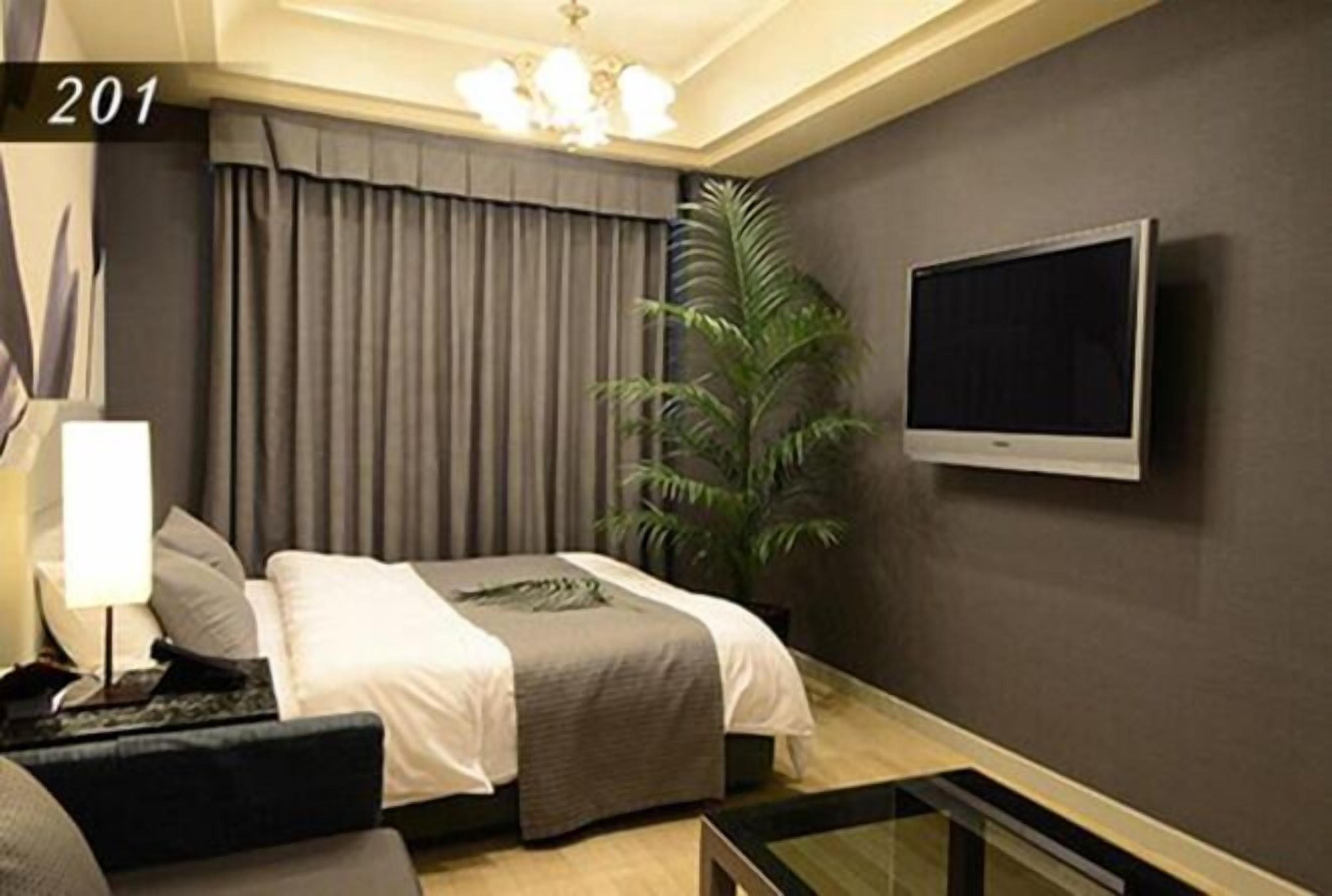 A hotel room with a bed, a TV, a plant, and a lamp.