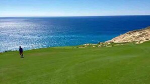 A person standing on a grassy area with a view of the ocean.
