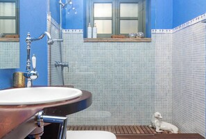 Hair dryer, bidet, towels