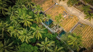 Escape to a serene tropical oasis with pools and lush palm trees.